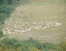 Gonda-Sajtműhely