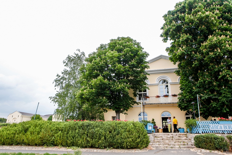 Sárga Borház Sárga Borház