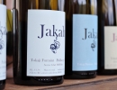 Jakab Pince