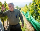 vinito-boraszat-04