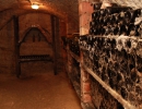 vinito-boraszat-10