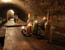 vinito-boraszat-11
